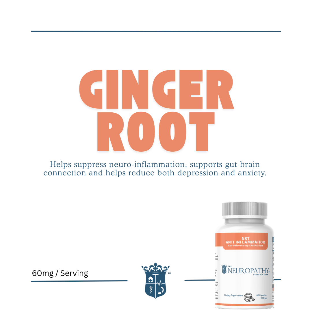 NRT Anti - Inflammation Support Supplement - Neuropathyrt