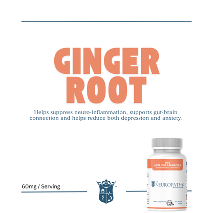 NRT Anti - Inflammation Support Supplement - Neuropathyrt